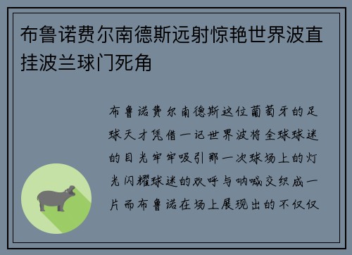 布鲁诺费尔南德斯远射惊艳世界波直挂波兰球门死角